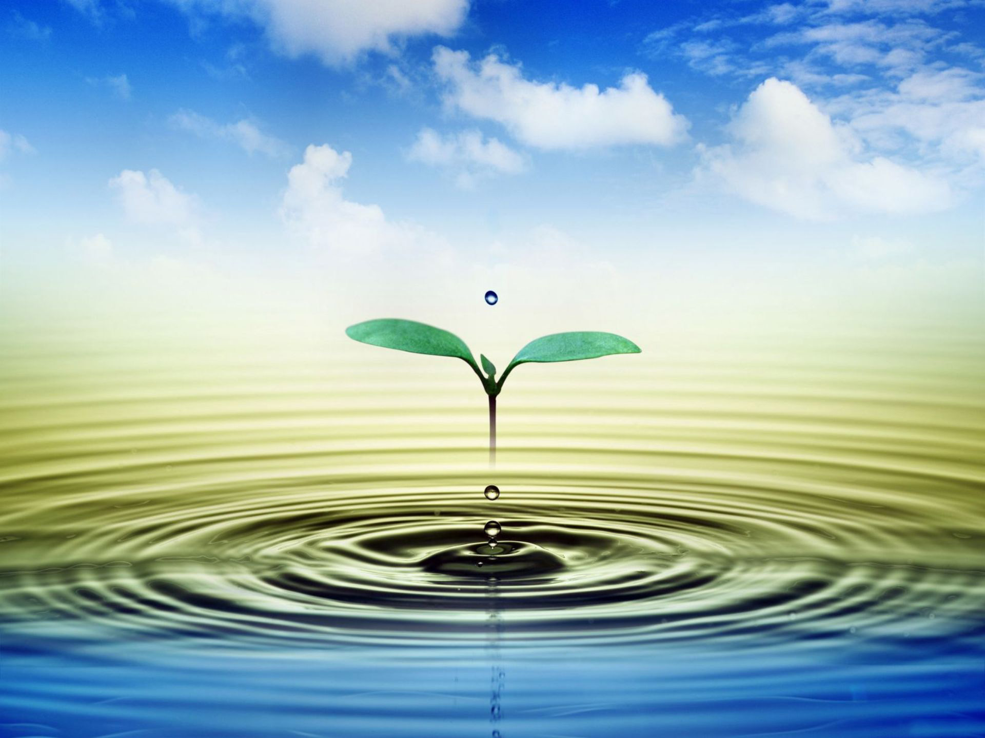 hinh-nen-nhe-nhang-thu-gian-mat